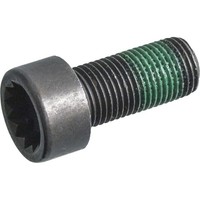 8X Febi Bilstein 179619 Schwungradschraube FüR Audi Vw Skoda Seat Man Cupra A5