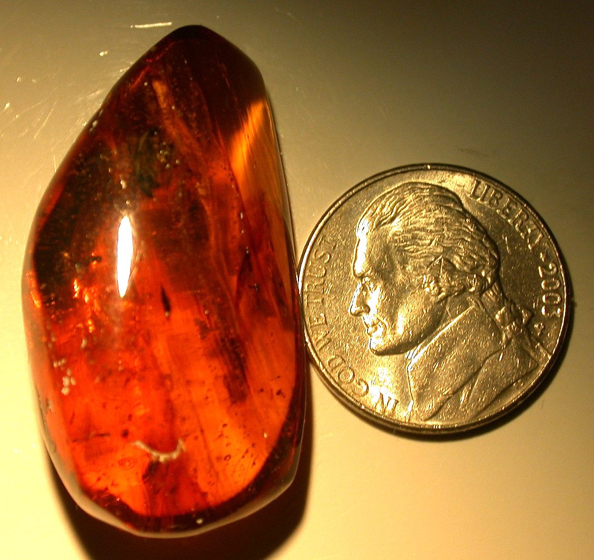 Large Beetle Water Enhydro in Burmese Amber Fossil with Resin Flows Dinosaur Age