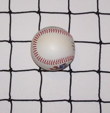 Baseball Softball High Impact Net Black Square 21 Nylon 2" Netting 12' x 16'