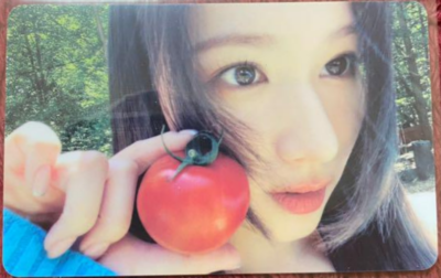 TWICE SANA 11th Mini Album 