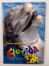 Florida The Sunshine State Souvenir Magnet Fridge Travel Dolphin