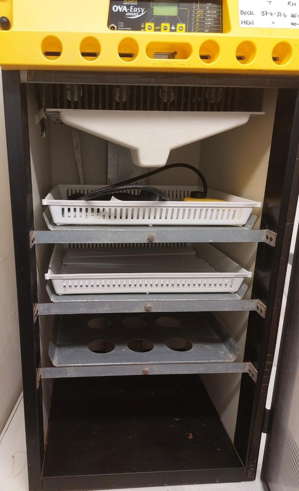 Brinsea OvaEasy 190 Advance Incubator eBay