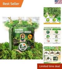 Eco-Friendly 2 Oz Dried Forest Moss - Ideal for Table Centerpieces  Planters