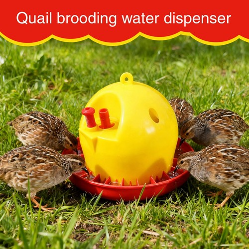 Kit automático de alimentación y riego de pollos para aves de corral nivel de agua ajustable - Imagen 3 de 12