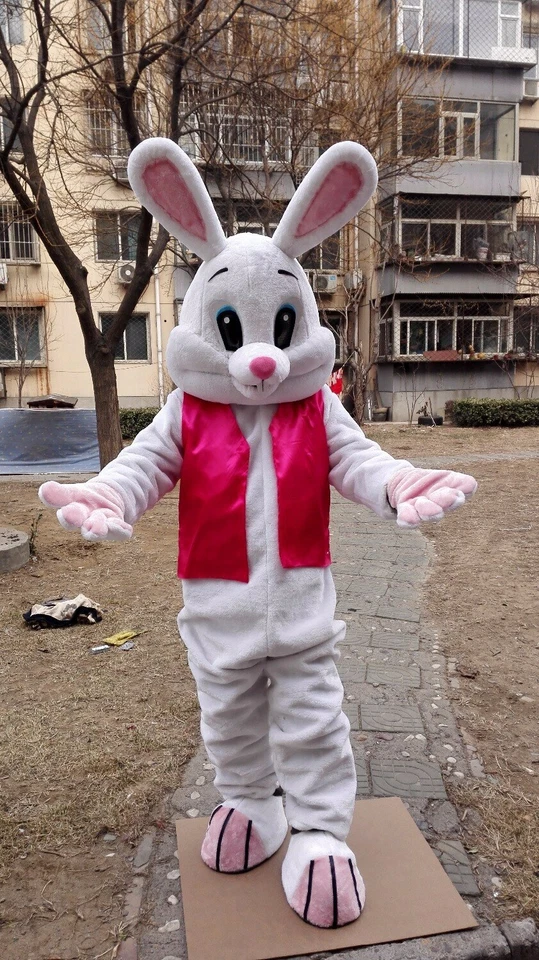 Disfraz de Conejo Mascota Traje Juegos con disfraces Fiesta Juego Vestido Conjunto Publicidad Halloween Foto 2 de 3