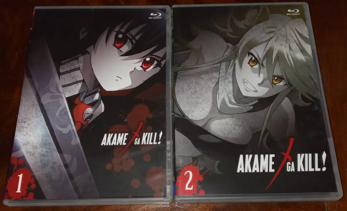 Akame ga Kill! Complete Collection | Sentai Filmworks