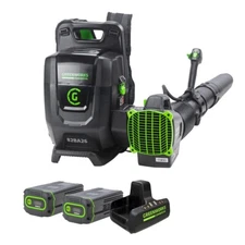 Greenworks 82V Backpack Blower w/ 2 Batteries & Charger (GBB700 / 82BA26)