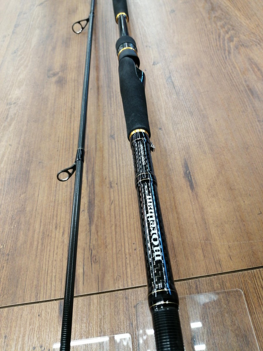 DAIWA MORETHAN EXPERT AGS 106M Seabass Rod #PB08837 | eBay