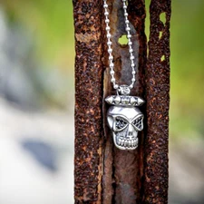 Skull necklace gothic punk stainless steel pendant cubic zirconia by Controse