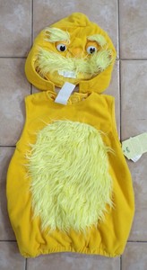 Pottery Barn Dr Seuss S The Lorax Halloween Costume 4 6 Kids