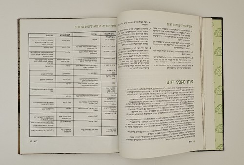 Libro de cocina kosher hebreo COCINA FRANCESA SIN CARNE por FAYE LEVY DE COLE... - Imagen 18 de 24