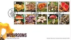 GB 2025 MUSHROOMS Stamp Set First Day Cover Tallents House postmark, 03/07/2025