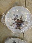 6 Clark Bronson Exclusive Decorator Collection Ltd Edition Plates wildlife Case — photo 7