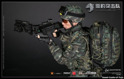 1/6 DamToys DAM 78052 Chinese Armed Force Snow Leopard Commando