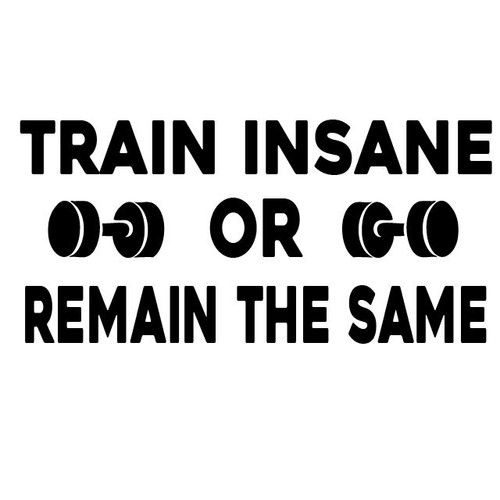 TRAIN INSANE OR REMAIN THE SAME Vinyl Decal Gym Rat Fitness Workout Gymrat - Picture 3 of 10