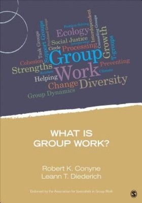 What Is Group Work? (Group Work Practice Kit) by Conyne, Robert K. [Paperback]