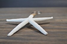 Starfish Keychain Beach Bag Tag White Nautical