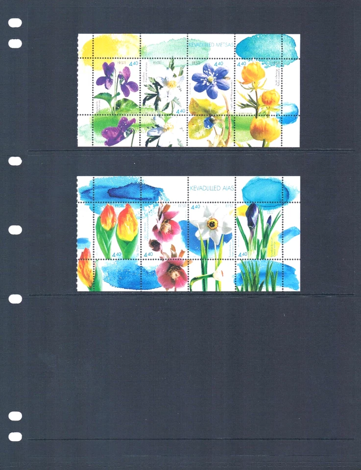 a $10.25 Scott Value - 2003-04 ESTONIA Flowers 2 s/s Spring CV MNH NH UMM Foto 2 de 4