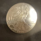 U.S. Mint American Eagle 2023 W Uncirculated BU Condition
