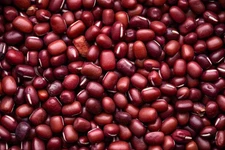 50 ADZUKI BEAN Aduki Red Bean Maroon Phaseolus Angularis Legume Vegetable Seeds