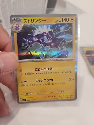 貝標本カタツムリEuhadra grata emurai sp黒色個体レアセット s-l400.jpg