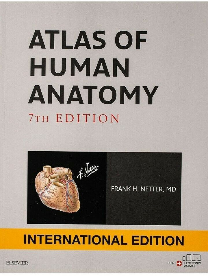 Netter Basic Science Ser.: Atlas of Human Anatomy by Frank H