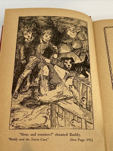 Buddy und die geheime Höhle Howard R. Garis 1934 - Bild 12 von 15