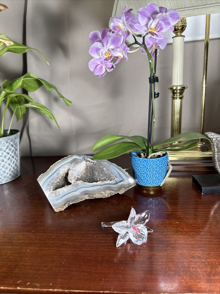 MINT Swarovski Orchid Blossom Flower with Pink Center Figurine