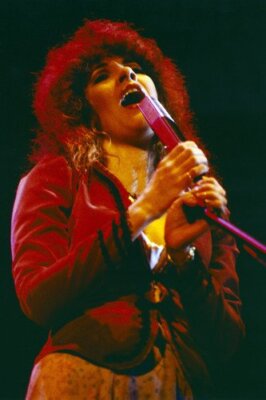 Stevie Nicks singing into microphone during performance 1980's 24x36 Poster