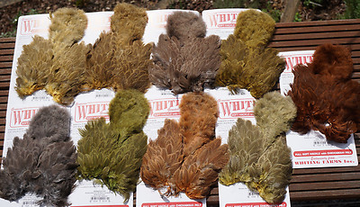 Whiting BRAHMA HEN Softhackle & Chickabou mottled gray dyed 12 Farben Auswahl