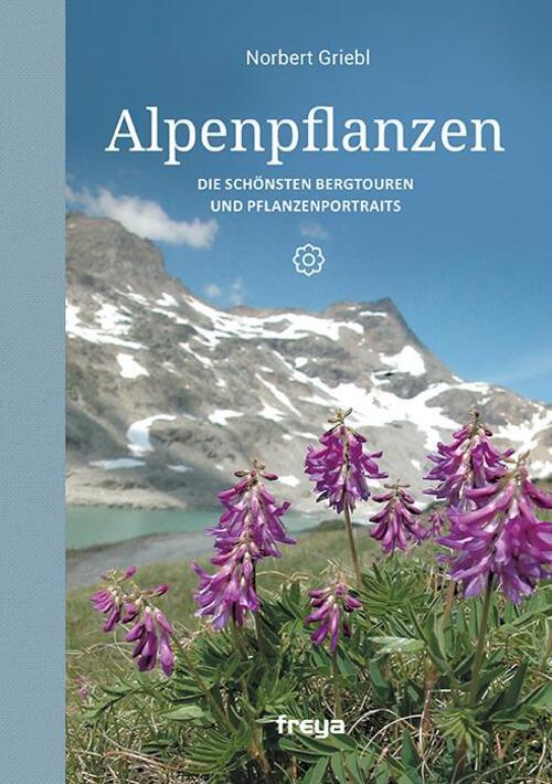 Alpenpflanzen | Die Schönsten Bergtouren Und Pflanzenportraits |