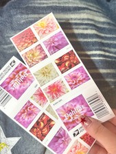 100PC Dahlias 2025 (5 Books of 20) First-Clas...