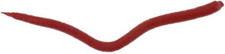 Gulp! Saltwater Extruded Bloodworm