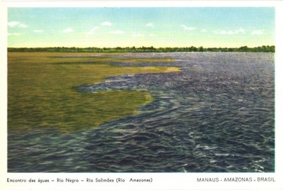 Manaus Amazonas Brazil Meeting of the Waters Negro River Solimões River Postcard