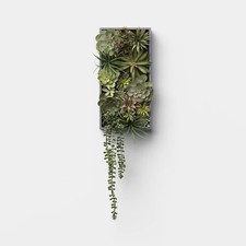 19" Hanging Artificial Succulent Wall Box - Threshold