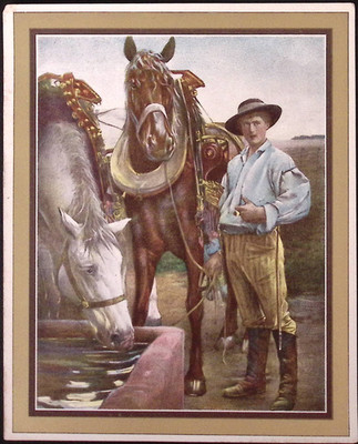 The Perry Pictures  At The Watering Trough  Art Print 5.5x8''