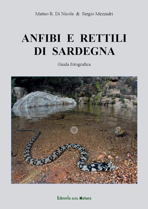 Anfibi e rettili di Sardegna. Guida fotografica - 2018 - Libreria