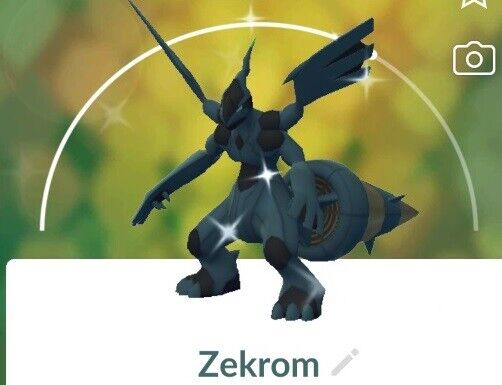 Shiny Zekrom Level 40 2nd move pokemon trade go pgkg