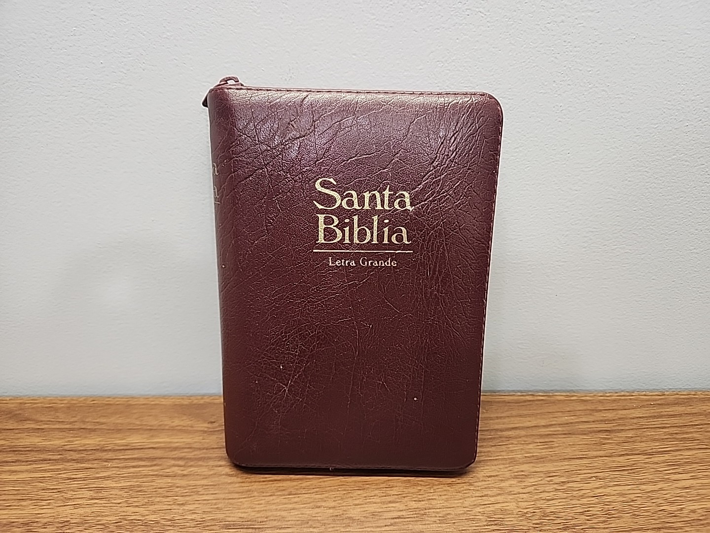 Santa Biblia Reina Valera 1960 Letra Grande Spanish Bible Leather Zipper Case