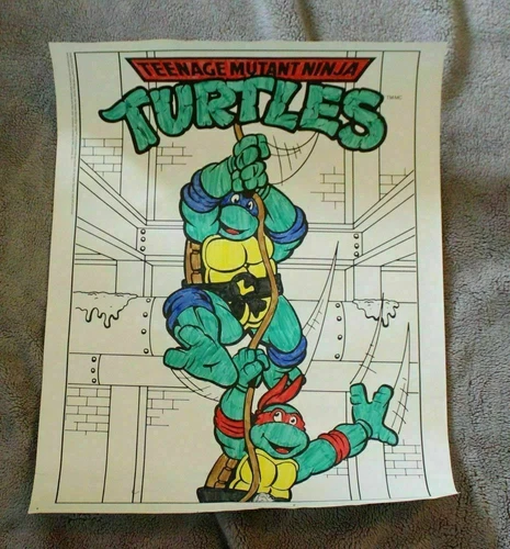 Teenage Mutant Ninja Turtles 1990 Mirage Colored Leonardo Raphael Poster FN