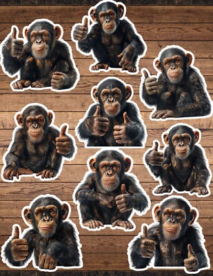 Thumbs Up Monkey Die Cut Vinyl Stickers Set Scrapbooking Laptop WaterBottle 