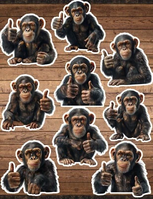 Thumbs Up Monkey Die Cut Vinyl Stickers Set Scrapbooking Laptop WaterBottle