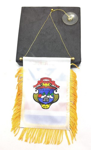 Mini Bandera de Costa Rica San José Costa Rica 4" x 6" con Ventosa Latino - Imagen 6 de 9