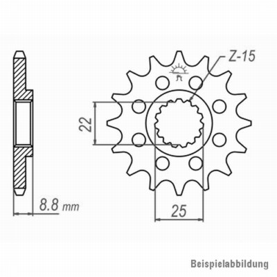 Ritzel vorne 15 Zähne Beta Xtrainer 300 2015-2021