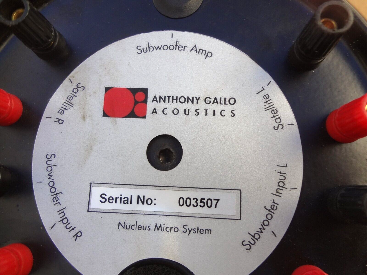 ꙮ Anthony Gallo Micro Nucleus Passive Subwoofer Tested Working