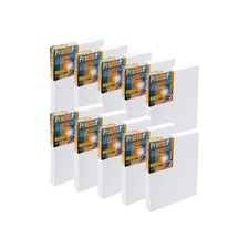Economy Stretched Cotton Canvas 20-Pack, 16x20 - Acid-Free Acrylic Primed Can...