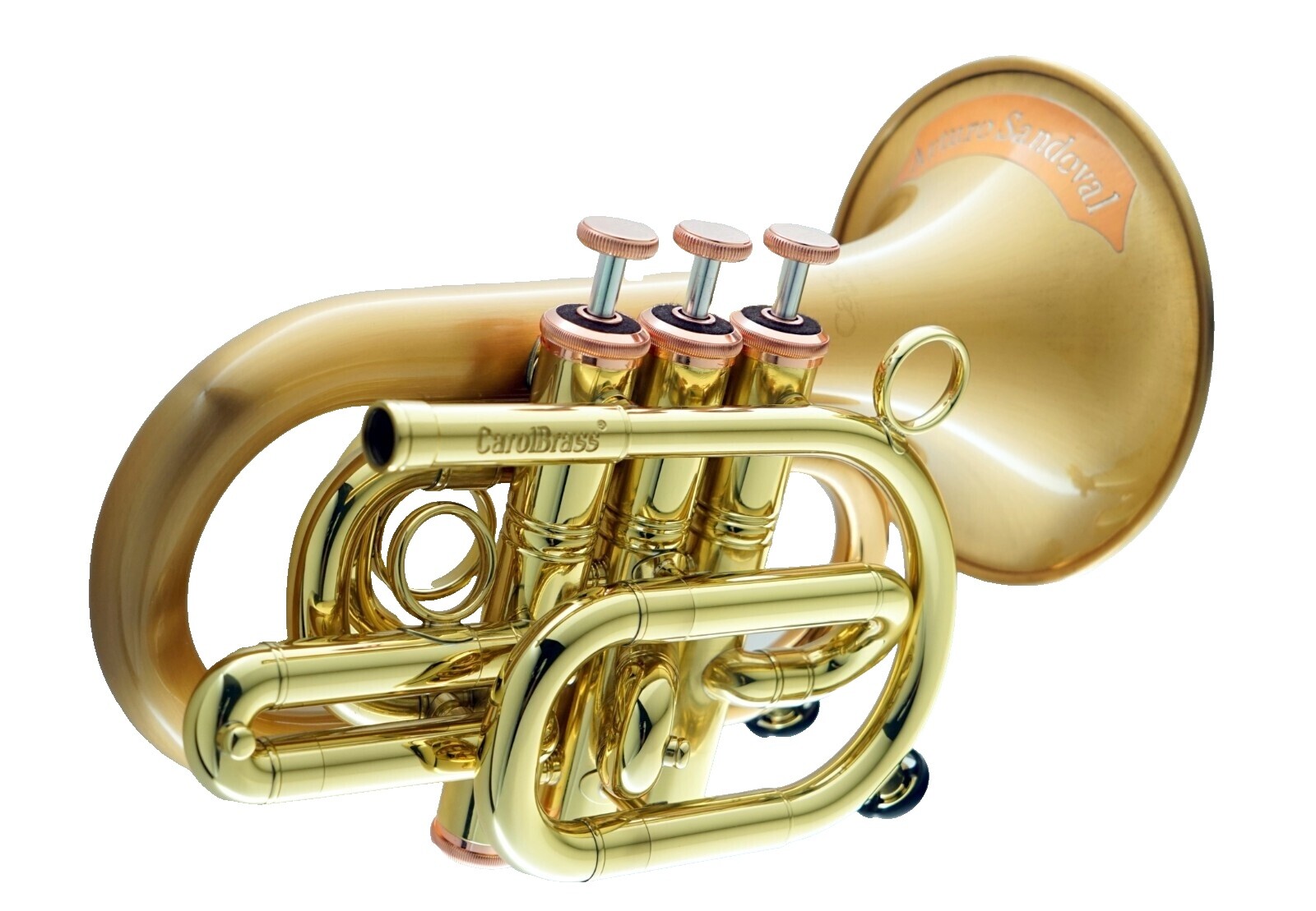 管楽器・吹奏楽器 CarolBrass Baro model II Post Pandemic 管楽器・吹奏楽器 CarolBrass Baro model II Post Pandemic CarolBrass