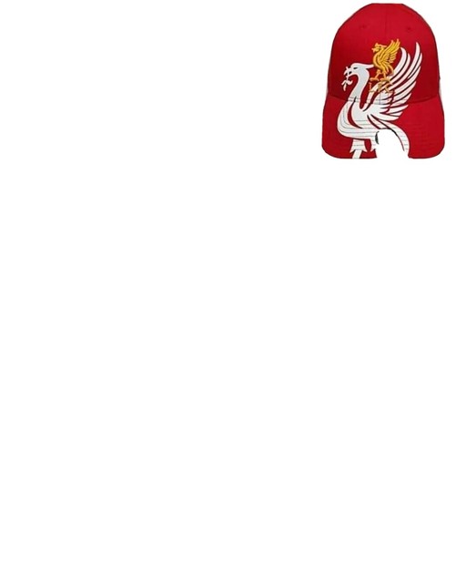 liverpool fc merchandise sale