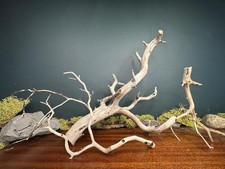 3 Pack Manzanita Driftwood Branch s, Aquarium, Terrarium, Aquascape,Home Decor