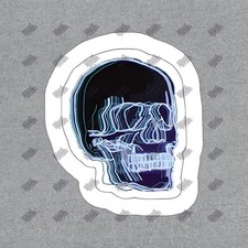 Cool Glow in the Dark Skull Vinyl Sticker Perfect for Laptops, Water 400578
